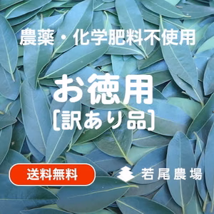 訳あり【フレッシュローリエ】送料無料／自然栽培