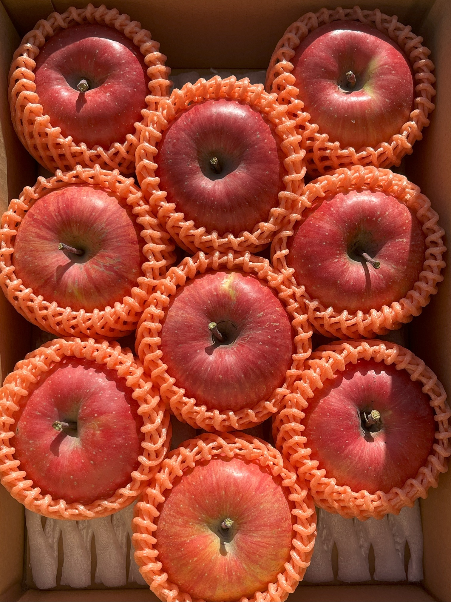 シャキッ!甘〜い♪特大❗️ シナノスイート 3kg 信州りんご 特大スイート 約3kg 6〜9個入り