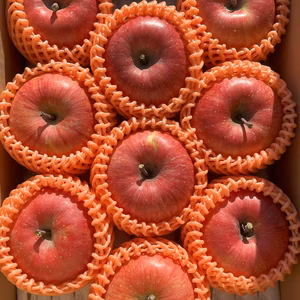 シャキッ！甘～い♪特大❗️ シナノスイート 3kg 信州りんご 