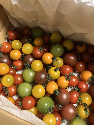 みんなの投稿の画像