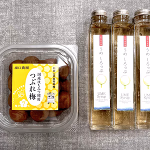 【訳あり】蜂蜜入り塩分控えめつぶれ梅（400g）と梅シロップ3本セット