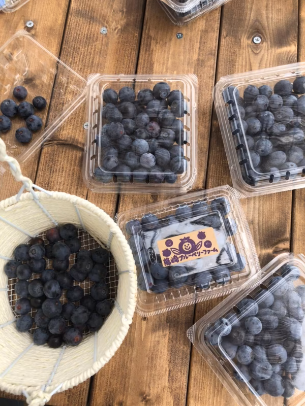 冷え冷え　冷凍ブルーベリー！ （1キロ）