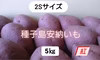 種子島安納いも 2Sサイズ