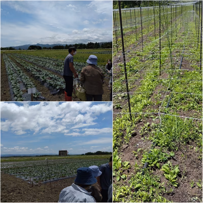 みんなの投稿の画像