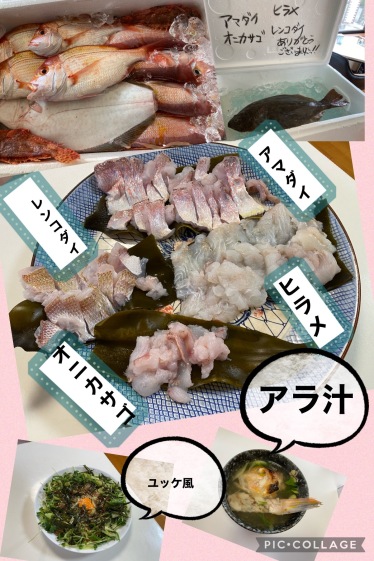 安くてうまい 連子鯛 レンコダイ キダイ 農家漁師から産地直送の通販 ポケットマルシェ