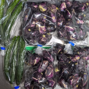 丸ナスとキュウリ