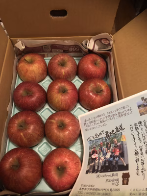 みんなの投稿の画像