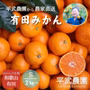 【2025年12月発送】農家直送！有田みかん2㎏～≪Sサイズ 秀品≫【平武農園】