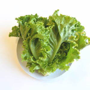 和らぎ農法　グリーンウェーブ