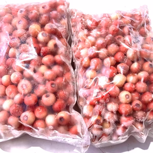 【加工用】冷凍ブルーベリー （フロリダローズ）1kg×2袋【希少品種】