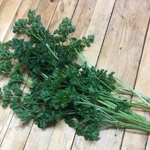 有機JAS　ハーブ　パセリーとルッコラ