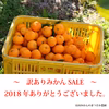 【W9A】SALE！訳ありみかん9.3kg　【1月4日発送】