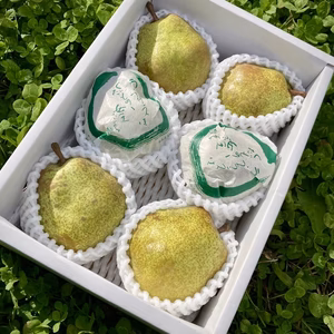 【ラフランス専業農家が贈る】大玉ラ・フランス 2ｋｇ 贈答用6玉入り