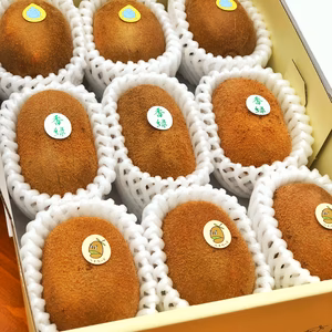 迷ったらこちら！おまかせキウイセット!プロキウイ農家おすすめ季節限定の3種:M3