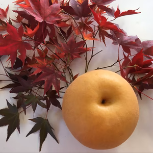 仏通寺紅葉狩り2025「新興梨」訳あり傷ありB品常温便甘味と酸味のバランス