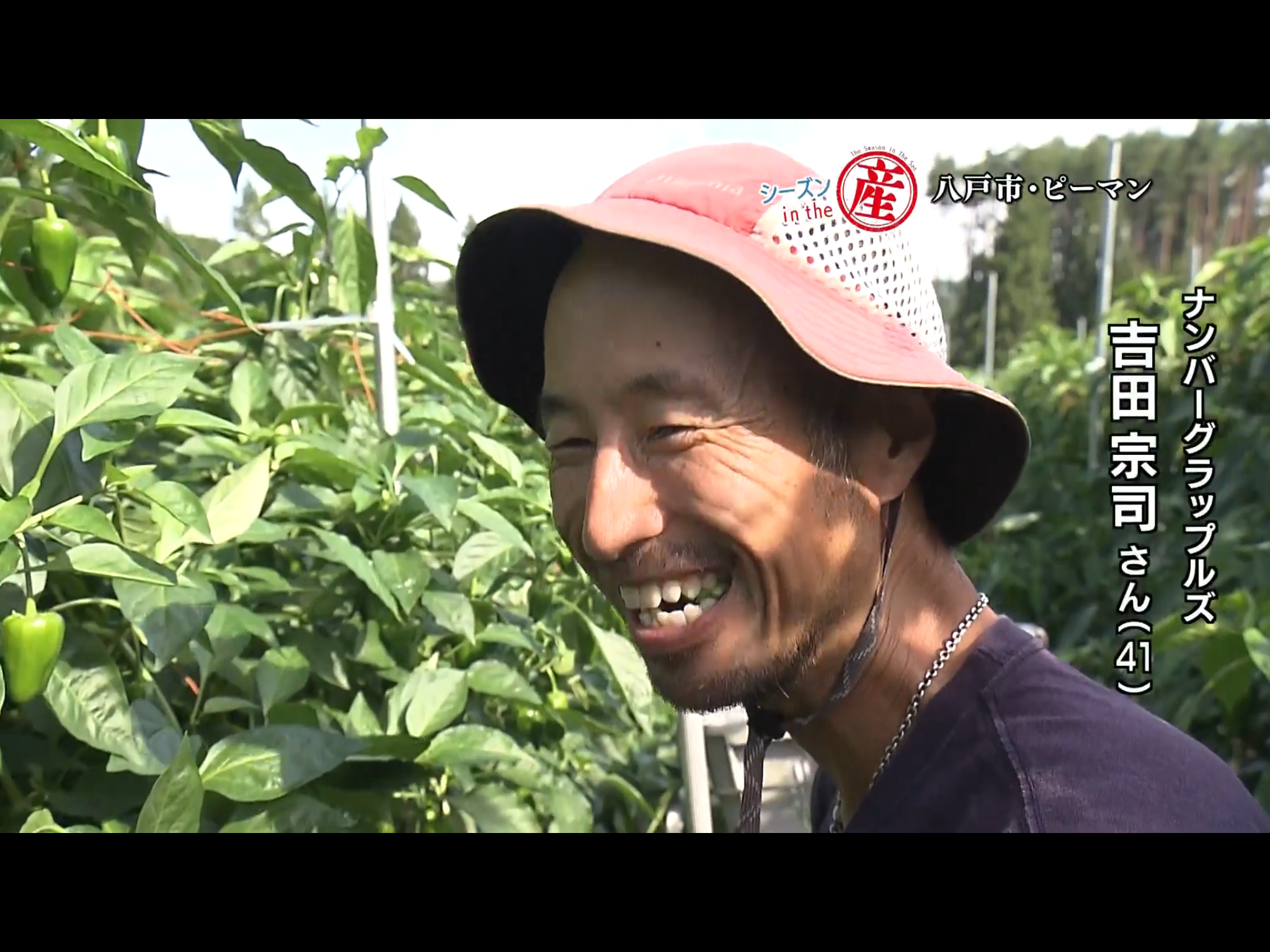 売れ筋・人気アイテム 商品 ピーマンの通販・お取り寄せ商品｜野菜｜ポケットマルシェ｜産地 野菜