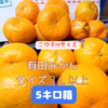 有田みかん　みかん　5キロ箱　訳あり　３Ｌ以上 