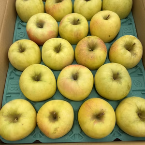 お得❗️ぐんま名月5キロ　家庭用16個〜18個