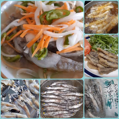 みんなの投稿の画像