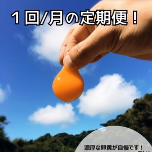 定期便！卵黄トローリ‼　濃厚自慢の名古屋コーチン卵36個入‼