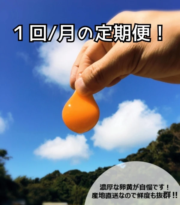 定期便！卵黄トローリ‼　濃厚自慢の名古屋コーチン卵36個入‼