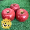 【贈答用】りんご（サンふじ）14玉箱入