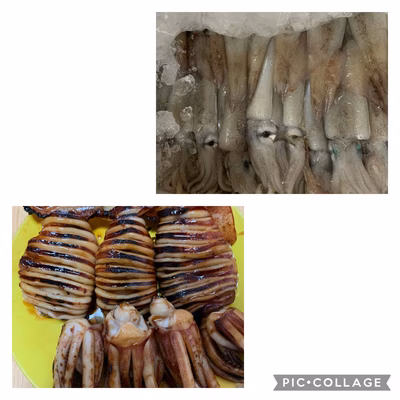 みんなの投稿の画像