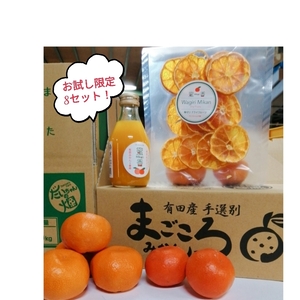 限定8】小原紅みかん&貯蔵みかん　大ちゃんの畑農園のバラエティーお試しセット