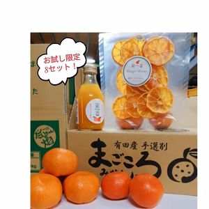 限定8】小原紅みかん&貯蔵みかん　大ちゃんの畑農園のバラエティーお試しセット