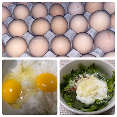 みんなの投稿の画像