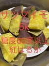 10個限定安心、安全、獲れたてのサツマイモ1k（紅ハルカ）¥999