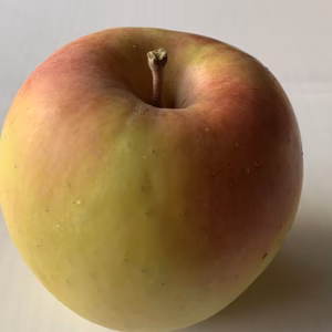 ※青森シャキシャキりんご※産地直送『ぐんま名月』【家庭用】