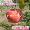 【ご家庭用5kg】シナノリップ 14〜20玉