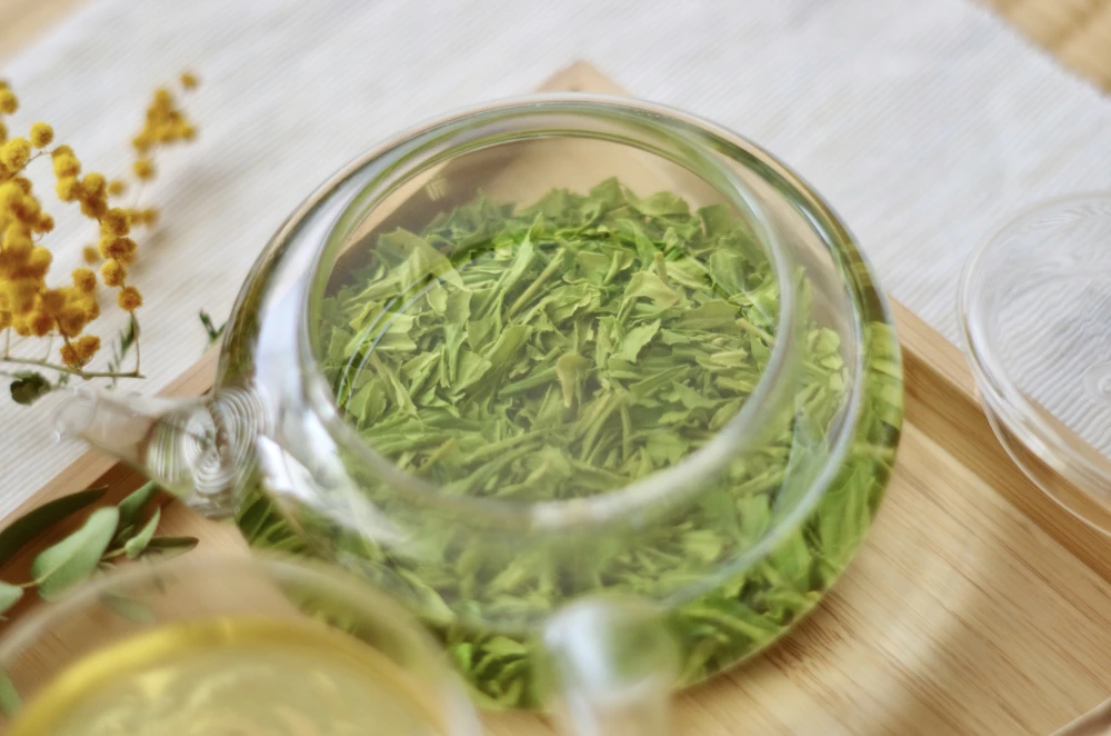 令和5年新茶！芽重型栽培されたさえみどりの被せ煎茶「貢大」10g