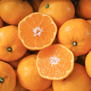 【送料無料】愛媛みかんの老舗厳選『濃厚な甘みと程よい酸味』愛媛県川上産 みかん