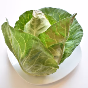 和らぎ農法　たけのこキャベツ（1玉）