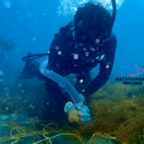 玉城勝行 | 株式会社　勝水産