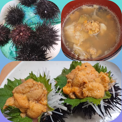 みんなの投稿の画像