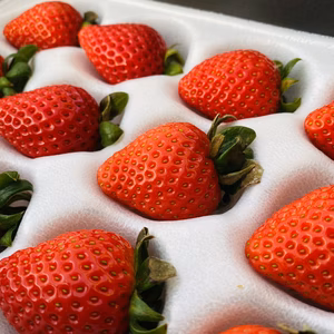 箱入りいちご＜あまりん＞  