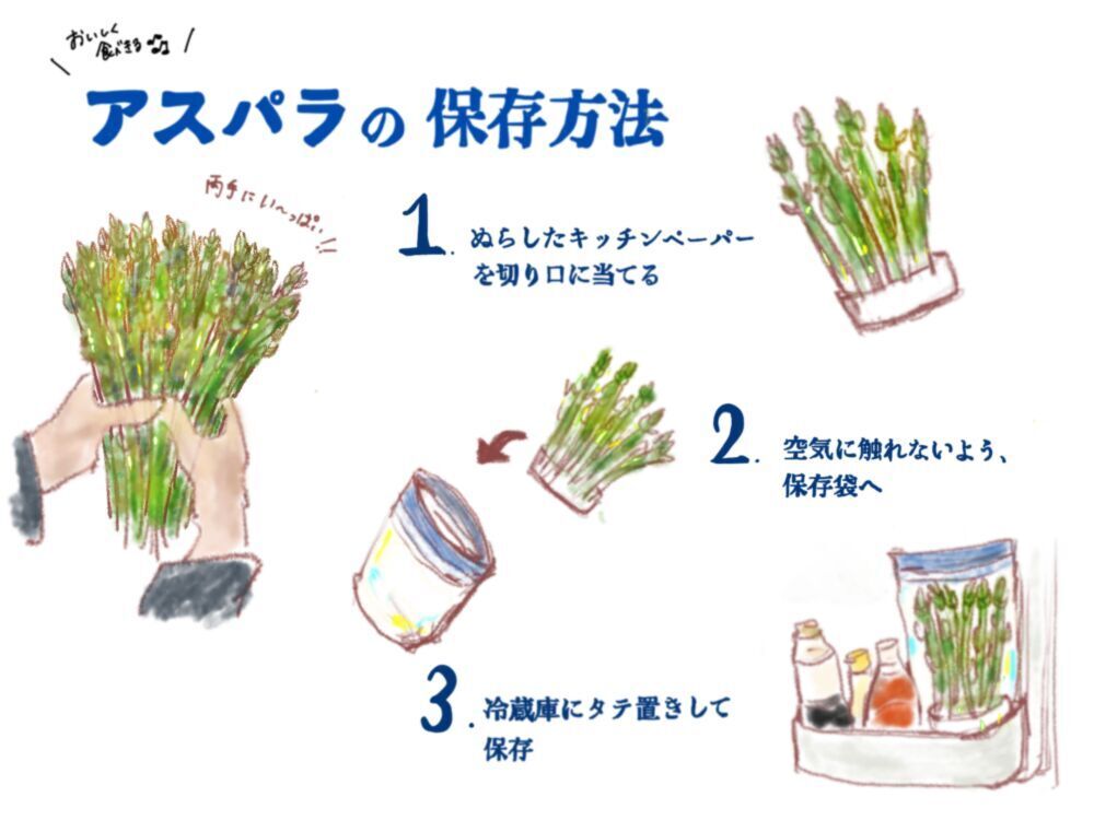 教えて農家さん １kg届いたアスパラを とにかく美味しく食べきる方法 農家漁師から産地直送の通販 ポケットマルシェ