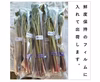 シャキ旨、絶品の山菜 アイコ＜約800g＞
