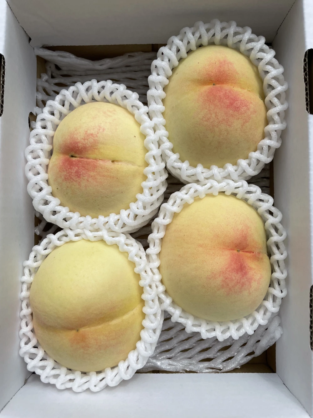 岡山県産 清水白桃【ご自宅用】【訳アリ品】4〜6玉入り｜果物の商品詳細｜ポケットマルシェ｜産直(産地直送)通販 旬の果物・野菜・魚介をお取り寄せ