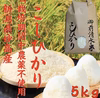 [新米] 新潟県産　高級米　御前清水米 無農薬米　5キロ〜 (白米) 令和5年産