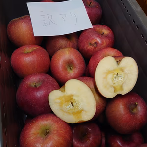 お得な訳アリ品！長野県認証栽培サンふじ