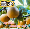 熊本県球磨村産❗️梨《豊水》2.5キロ箱(5〜6玉)⭐️贈答品⭐️