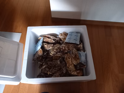 みんなの投稿の画像