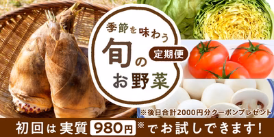 【季節を味わう「旬のお野菜定期便」】 今食べて欲しい「旬野菜」と、使いやすい「定番野菜」がセットに！待望の定期便ができました😊