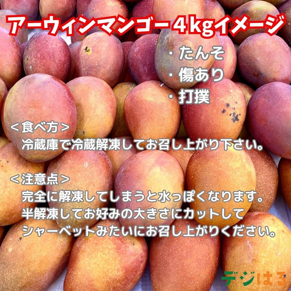 沖縄県産冷凍マンゴー 2袋×500g前後 | www.darquer.fr