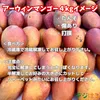 【送料込】【冷凍】規格外冷凍マンゴー｜沖縄産｜フードレスキュー
