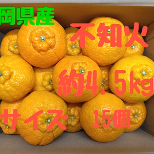静岡県産　不知火　3Lサイズ　15個　約4.5㎏